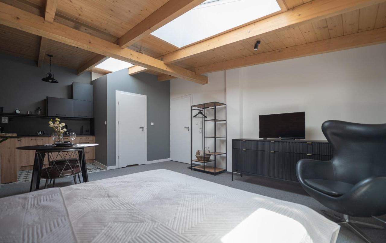 Apartamenty Mlynska 5 Bielsko-Biała Dış mekan fotoğraf