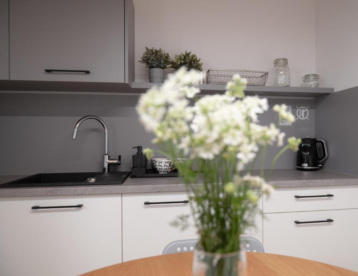 Apartamenty Mlynska 5 Bielsko-Biała Dış mekan fotoğraf