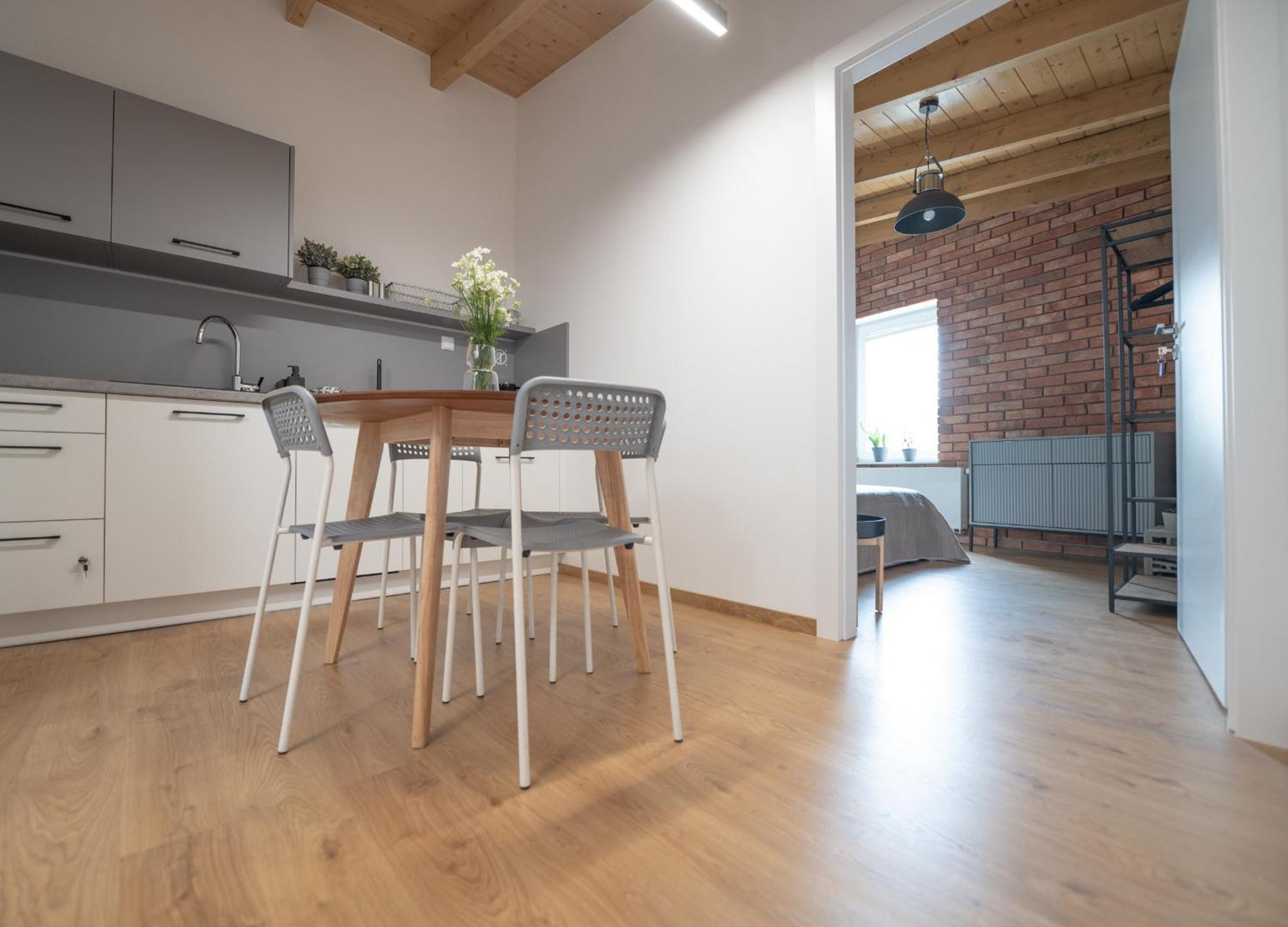 Apartamenty Mlynska 5 Bielsko-Biała Dış mekan fotoğraf
