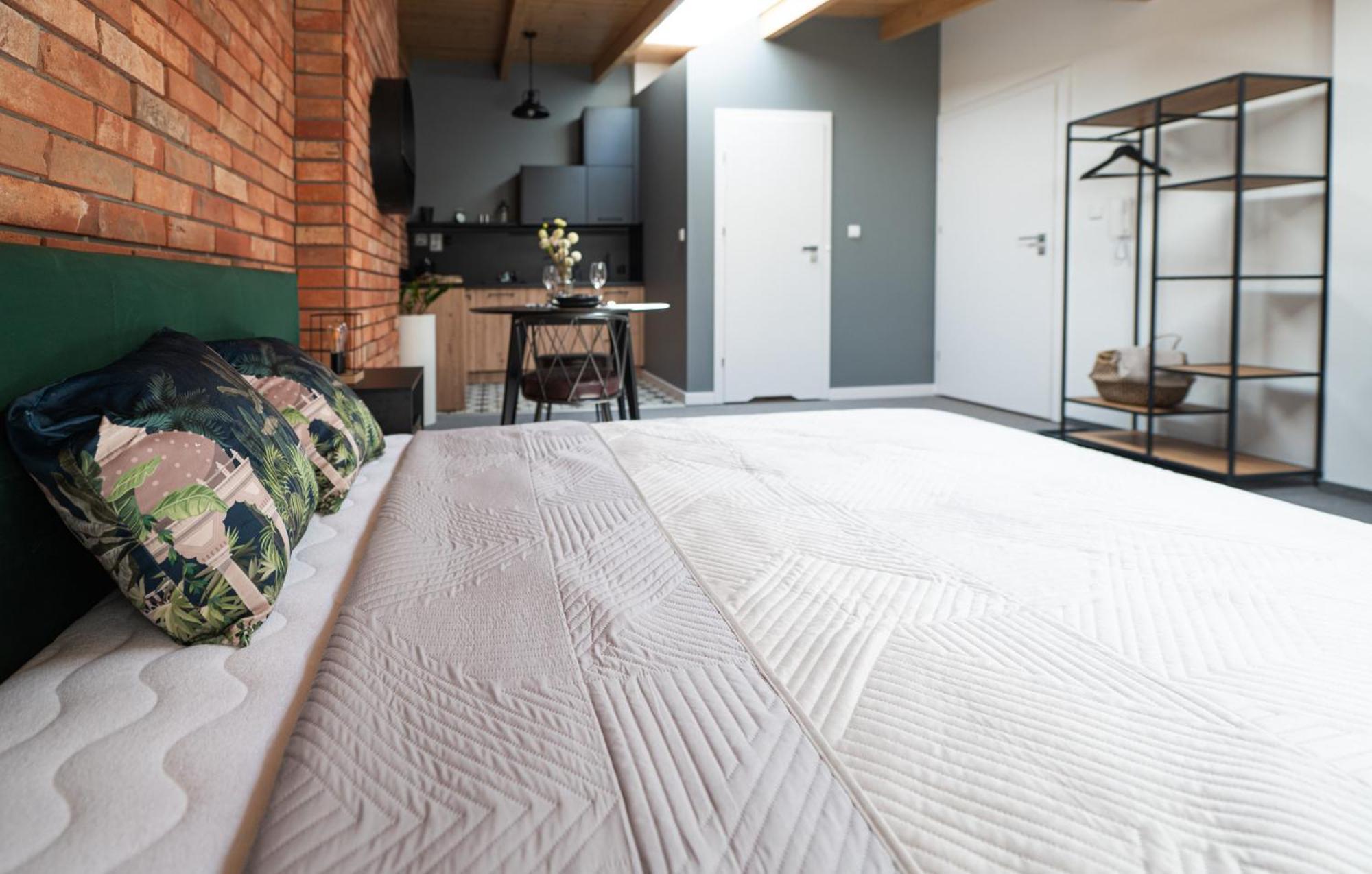 Apartamenty Mlynska 5 Bielsko-Biała Dış mekan fotoğraf